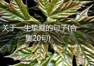 关于一生挚爱的句子(合集20句)