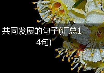 共同发展的句子(汇总14句)