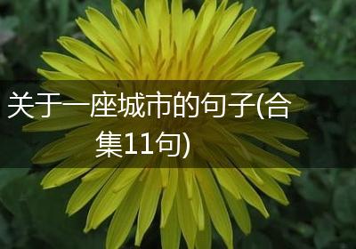 关于一座城市的句子(合集11句)