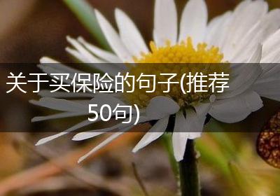 关于买保险的句子(推荐50句)