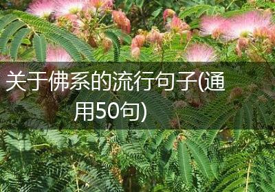 关于佛系的流行句子(通用50句)