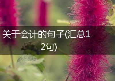 关于会计的句子(汇总12句)
