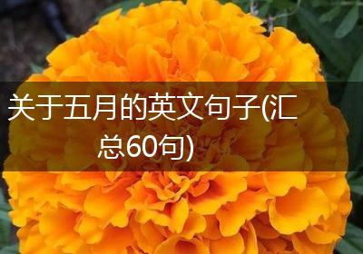 关于五月的英文句子(汇总60句)