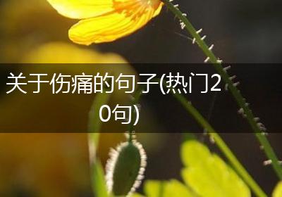 关于伤痛的句子(热门20句)