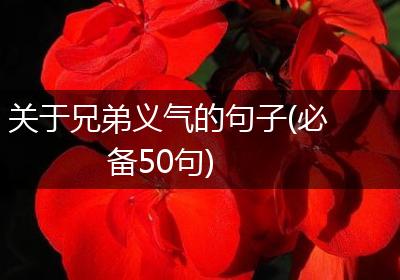 关于兄弟义气的句子(必备50句)