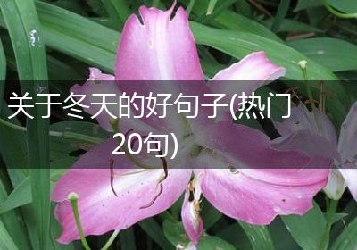 关于冬天的好句子(热门20句)
