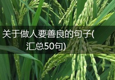 关于做人要善良的句子(汇总50句)