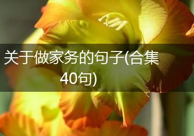 关于做家务的句子(合集40句)