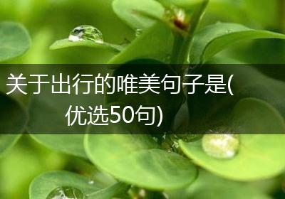 关于出行的唯美句子是(优选50句)