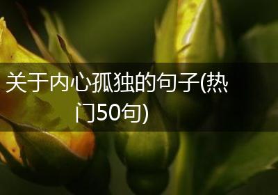 关于内心孤独的句子(热门50句)