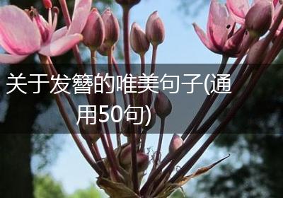 关于发簪的唯美句子(通用50句)