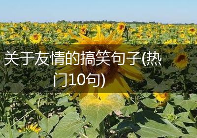 关于友情的搞笑句子(热门10句)
