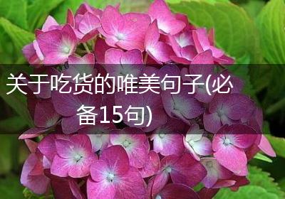 关于吃货的唯美句子(必备15句)