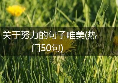 关于努力的句子唯美(热门50句)