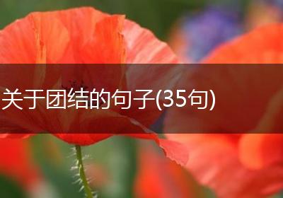 关于团结的句子(35句)