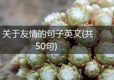 关于友情的句子英文(共50句)