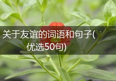 关于友谊的词语和句子(优选50句)