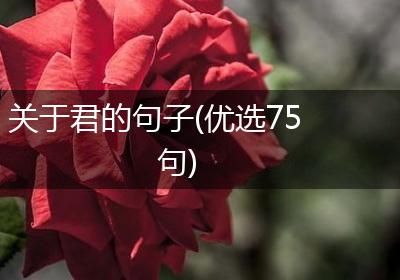 关于君的句子(优选75句)