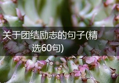 关于团结励志的句子(精选60句)