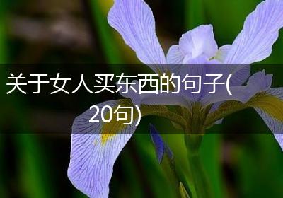 关于女人买东西的句子(20句)