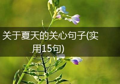 关于夏天的关心句子(实用15句)
