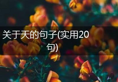 关于天的句子(实用20句)