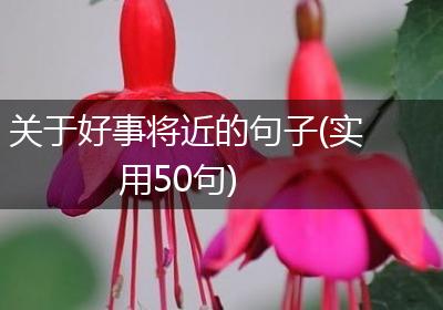 关于好事将近的句子(实用50句)