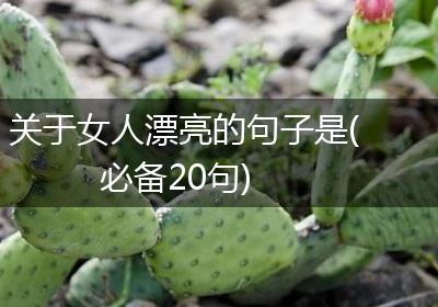 关于女人漂亮的句子是(必备20句)