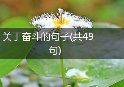 关于奋斗的句子(共49句)