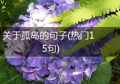关于孤岛的句子(热门15句)