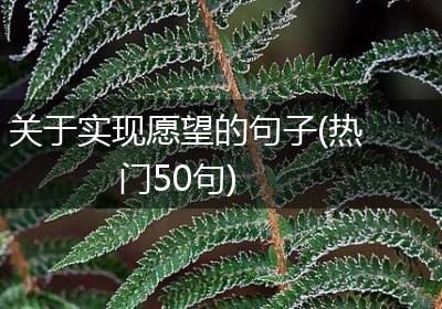 关于实现愿望的句子(热门50句)