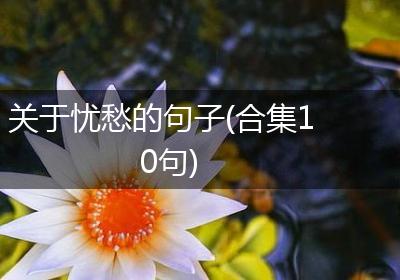 关于忧愁的句子(合集10句)