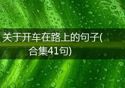 关于开车在路上的句子(合集41句)