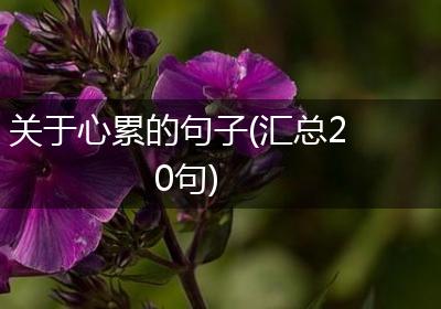 关于心累的句子(汇总20句)
