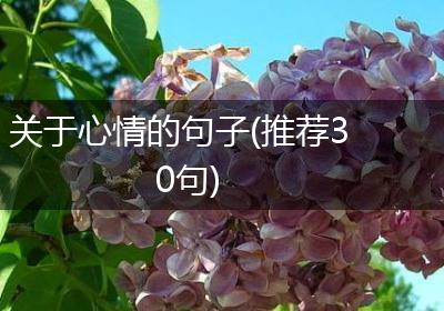 关于心情的句子(推荐30句)
