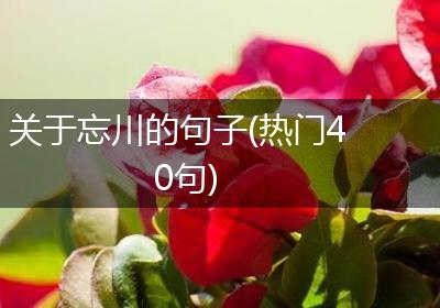 关于忘川的句子(热门40句)
