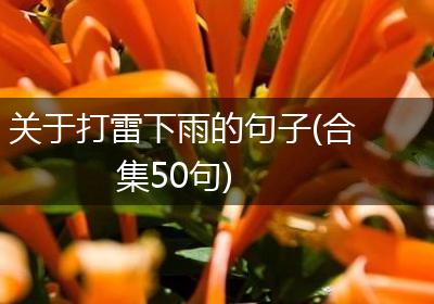 关于打雷下雨的句子(合集50句)