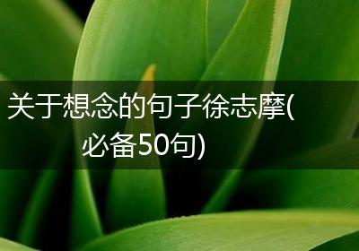 关于想念的句子徐志摩(必备50句)