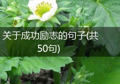 关于成功励志的句子(共50句)