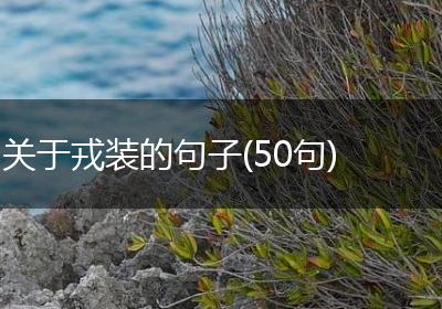 关于戎装的句子(50句)