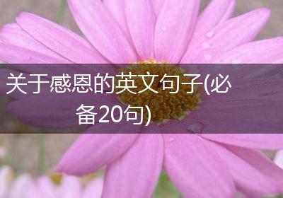 关于感恩的英文句子(必备20句)