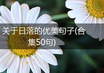 关于日落的优美句子(合集50句)
