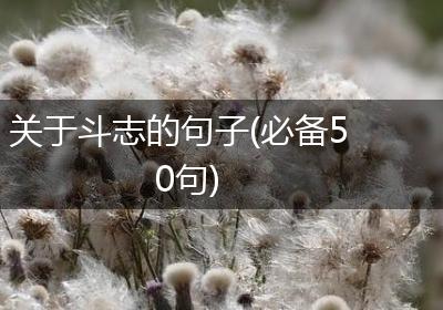 关于斗志的句子(必备50句)