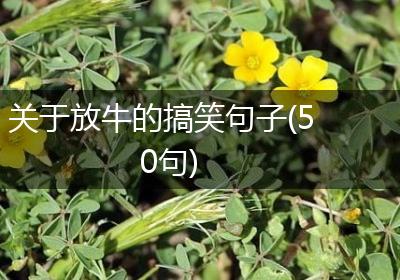 关于放牛的搞笑句子(50句)