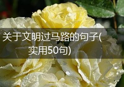 关于文明过马路的句子(实用50句)