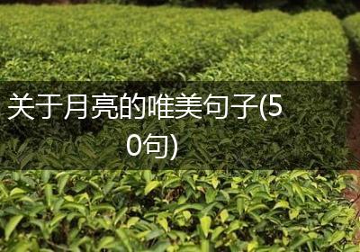 关于月亮的唯美句子(50句)