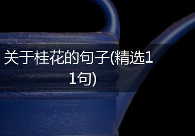 关于桂花的句子(精选11句)