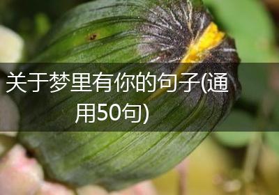 关于梦里有你的句子(通用50句)
