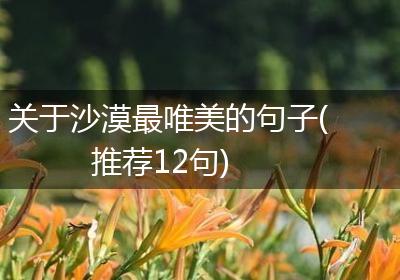 关于沙漠最唯美的句子(推荐12句)