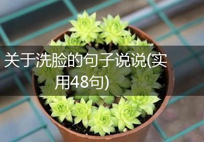 关于洗脸的句子说说(实用48句)